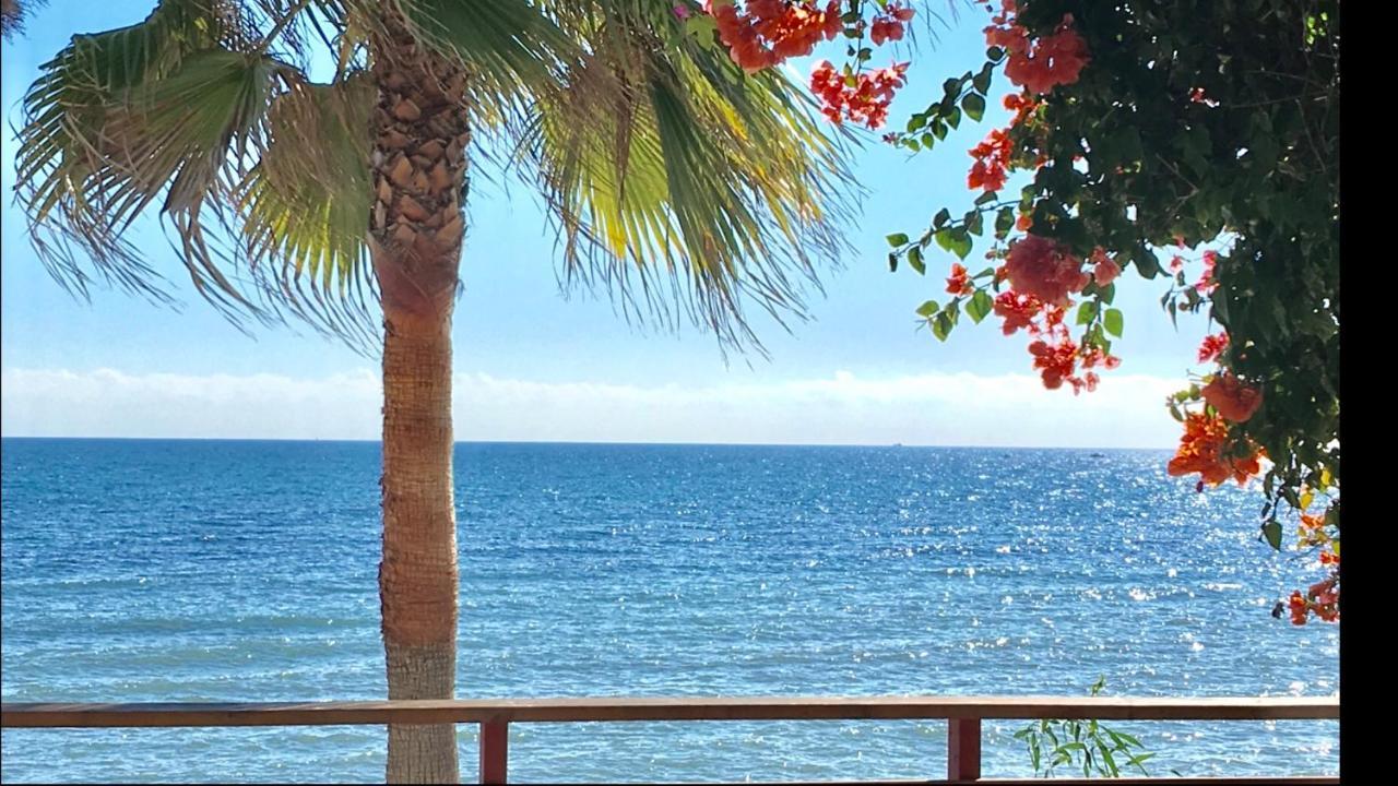 Mi Capricho 4B Beachfront - Apartment With Sea View - Costa Del Sol - La Cala De Mijas Exterior photo